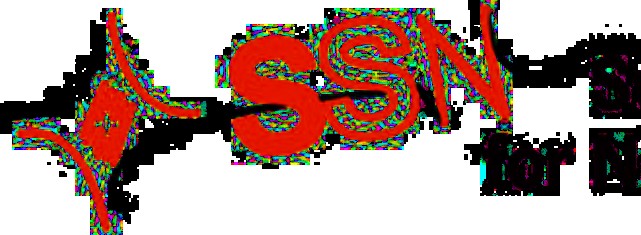 SSN_logo-icon